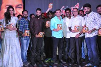 Kalyan Ram Sher Movie Audio Songs Release